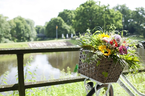 Blumen in einem Fahrradkorb.