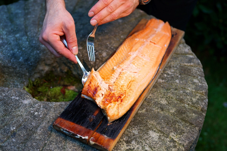 Bild von Flammlachs.