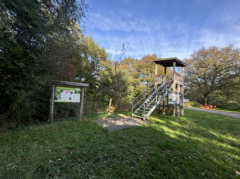 Aussichtsturm Borkener Paradies, Meppen ©Emsland Tourismus GmbH.JPEG&nbsp;&copy;&nbsp;Emsland Tourismus GmbH