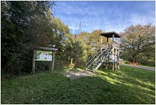 Aussichtsturm Borkener Paradies, Meppen ©Emsland Tourismus GmbH.JPEG