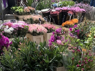 Bloemen Cees 3.JPEG