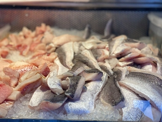 Fisch 2.jpg