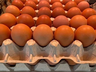 Frischgeflügel Feldhaus 3.jpg