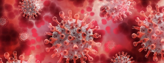 Coronavirus-Symbolbild © Pixabay