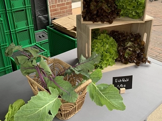 Kleinstadtfarm 3.jpg