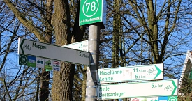 Knotenpunkt Wegweiser