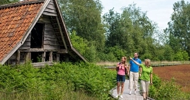 Moormuseum_Hochmoor