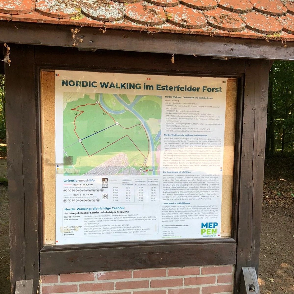 Nordic-Walking (3)-square.jpeg Nordic-Walking (3)-square.jpeg © Tourist Information Meppen (TIM) e. V.
