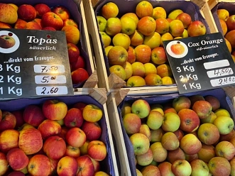 Obst Kruse 3.jpg