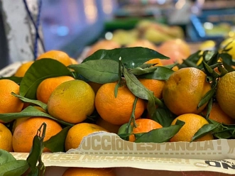 Obst und Gemüse Züwerink 4.jpg