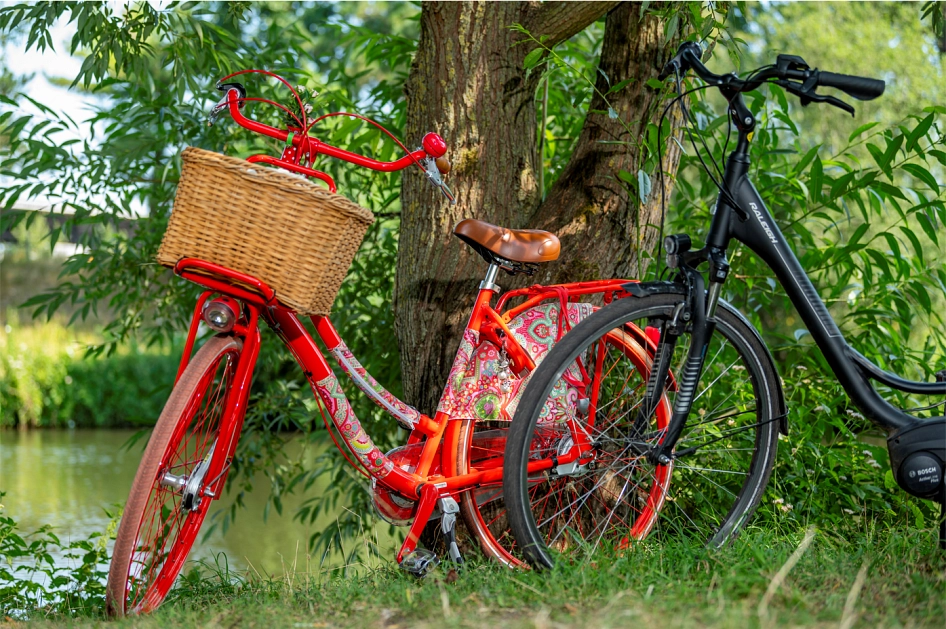 Ein rotes und ein schwarzen Fahrrad vor einem Baum.